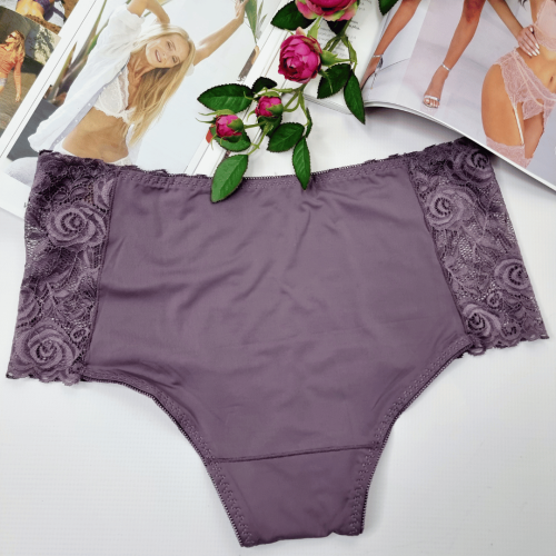 Majtki-koronkowe-wysoki-stan-plus-size-Greta-wrzosowy-2 (2).png