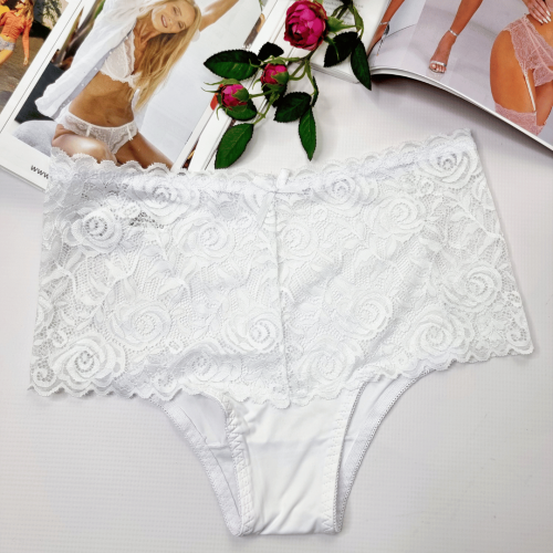 Majtki-koronkowe-wysoki-stan-plus-size-Greta-bialy-2 (1).png