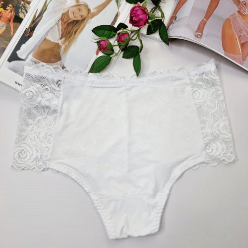 Majtki-koronkowe-wysoki-stan-plus-size-Greta-bialy-2 (2).png