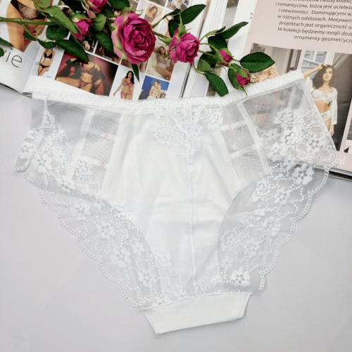 Majtki-z-haftowanej-siateczki-laserowo-ciete-wysoki-stan-Sabrina-bialy-2 (1).png