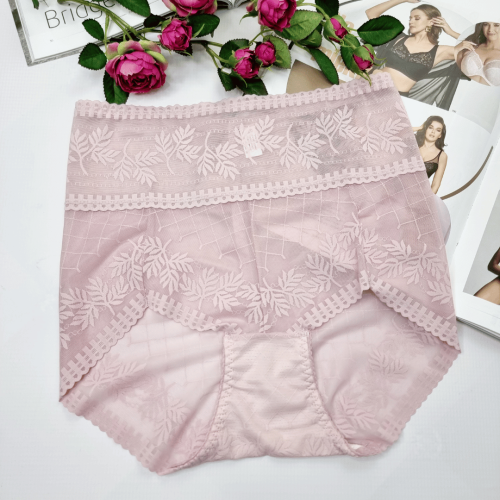 Majtki-modelujace-sylwetke-z-wysokim-stanem-Delfina-pudrowy-roz-2 (1).png