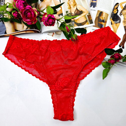 Brazyliany z haftowanej elastycznej siateczki wysoki stan plus size TAYLOR czerwony 1