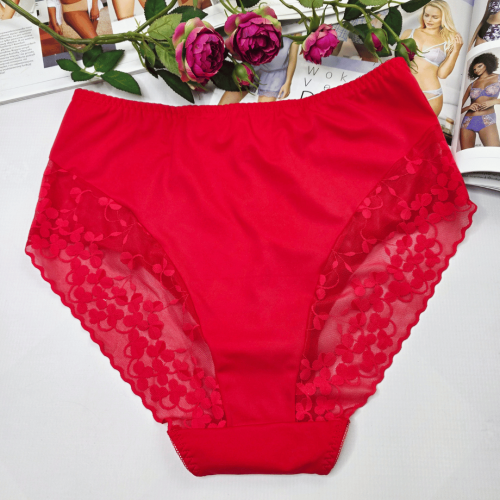 Majtki koronkowe premium wysoki stan plus size APOLONIA czerwony 2