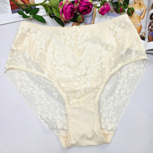 Majtki koronkowe premium wysoki stan plus size APOLONIA cielisty 1