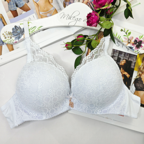 Biustonosz koronkowy push-up łapka z wysoka koronką ROMA biały 2