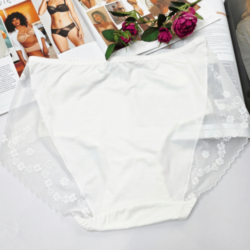 Majtki z siateczką niezwykła miękkość wysoki stan MODES No.2 ecru 4