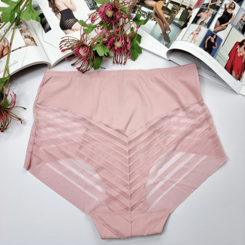 Majtki-laserowo-ciete-z-siateczka-wysoki-stan -Odette-pudrowy-roz-2 (1).png